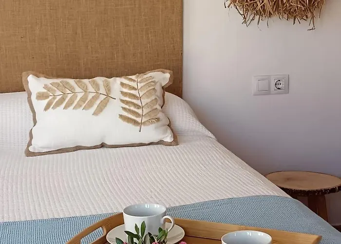 Bonita En Con Piscina Y Wifi 코라레호